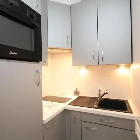 Bel T2 Avec Balcon Et Parking A 220m Du Centre * Le Mont-Dore