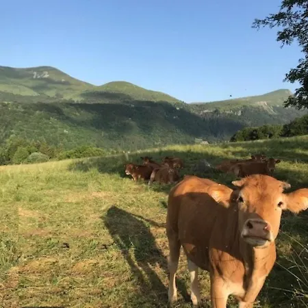 Apartment Bel T2 Avec Balcon Et Parking A 220m Du Centre - Fr-1-608-189 Le Mont-Dore