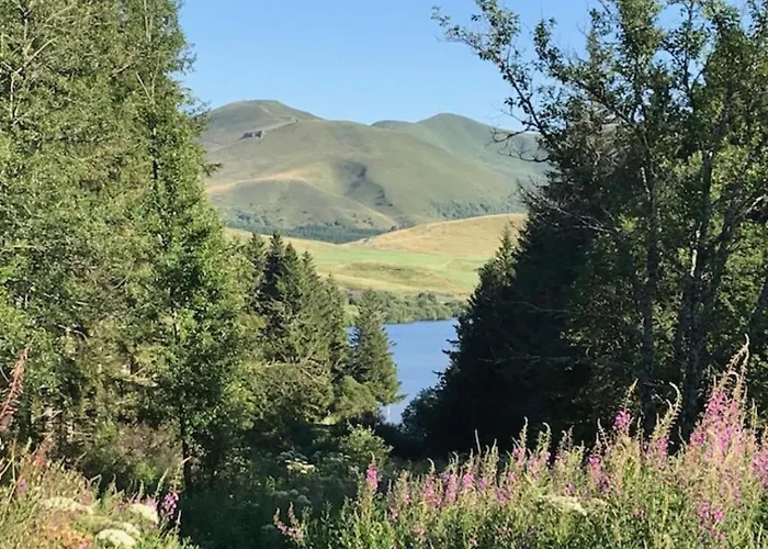 Bel T2 Avec Balcon Et Parking A 220m Du Centre - Fr-1-608-189 Appartement Le Mont-Dore